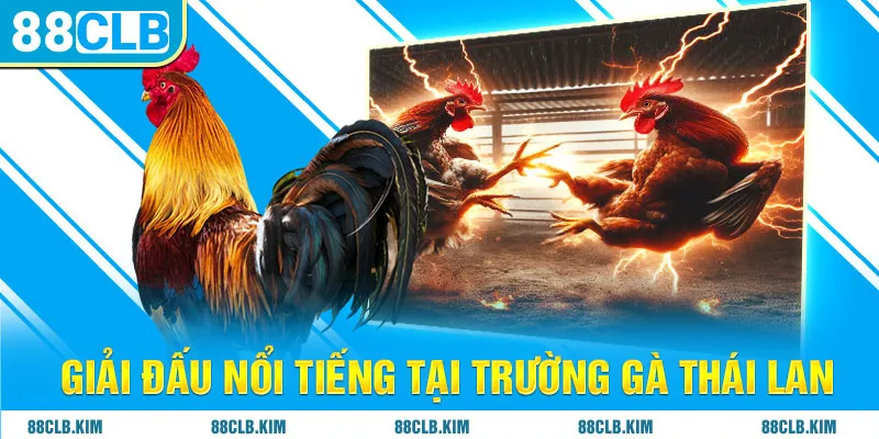 Giải đấu nổi tiếng tại trường gà Thái Lan