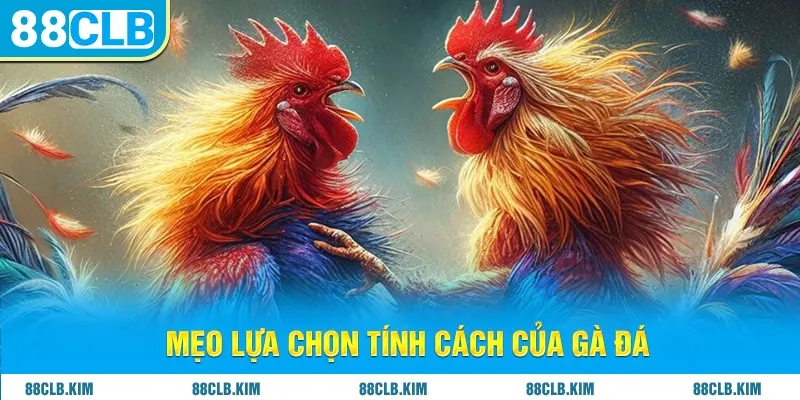 Mẹo lựa chọn tính cách của gà đá