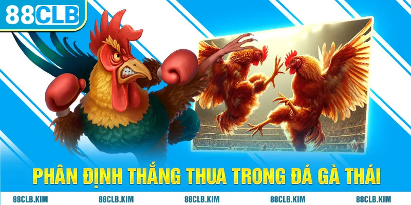 Phân định thắng thua trong đá gà Thái 