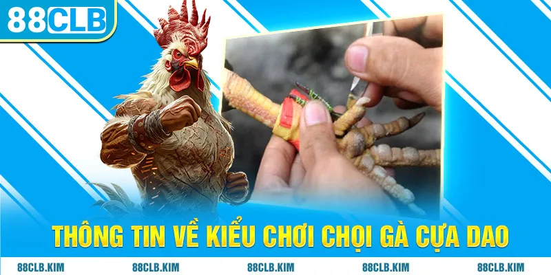 Thông tin về kiểu chơi chọi gà cựa dao