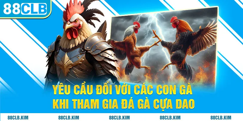 Yêu cầu đối với các con gà khi tham gia đá gà cựa dao